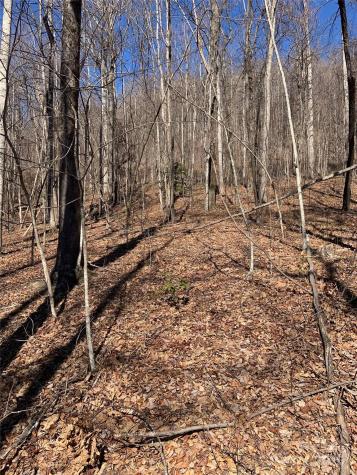 Tbd Glen Ridge Trail Lake Lure NC 28746