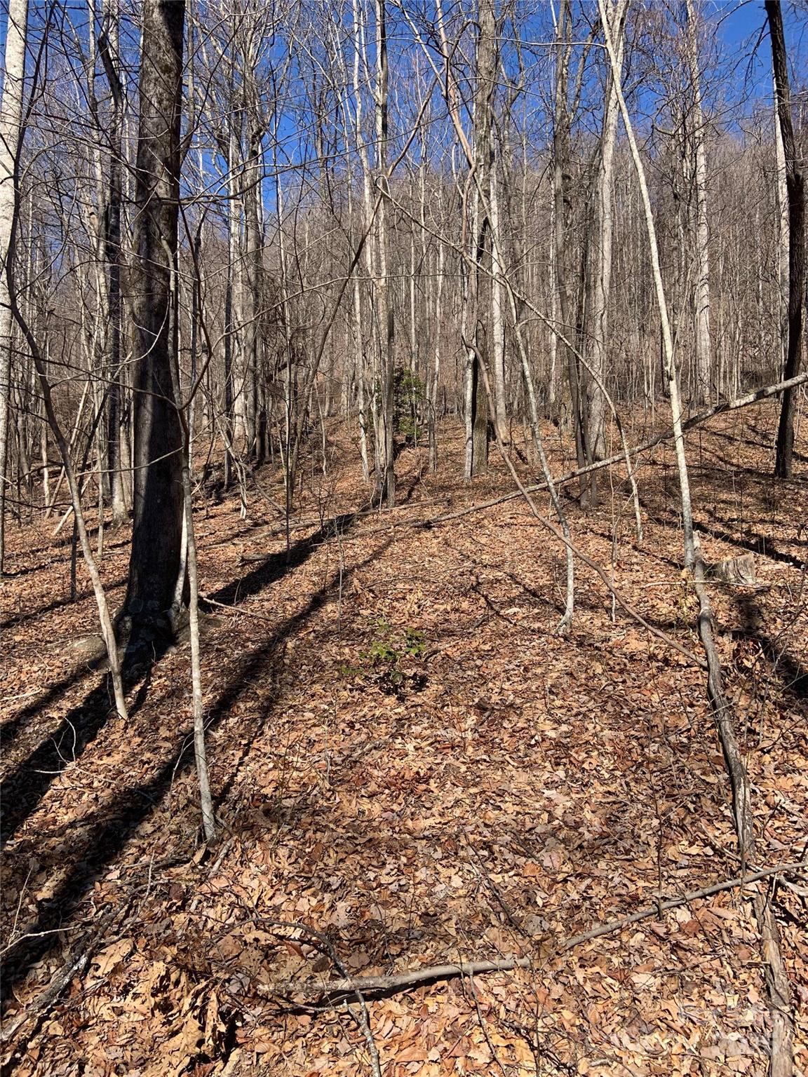 Tbd Glen Ridge Trail Lake Lure NC 28746