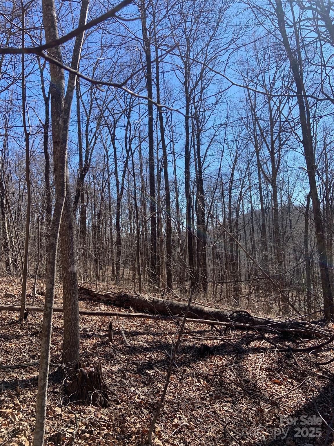 Tbd Glen Ridge Trail Lake Lure NC 28746