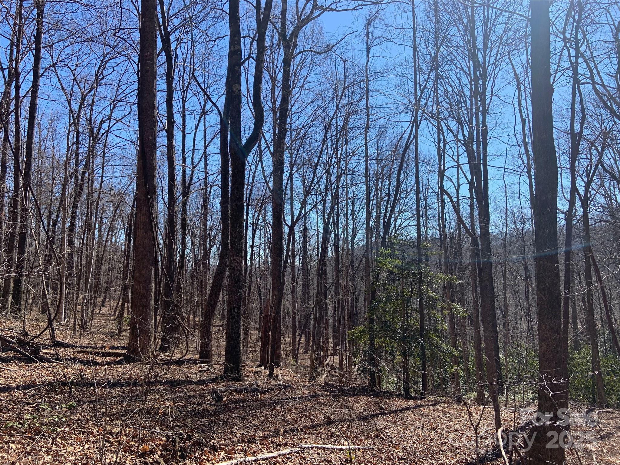 Tbd Glen Ridge Trail Lake Lure NC 28746