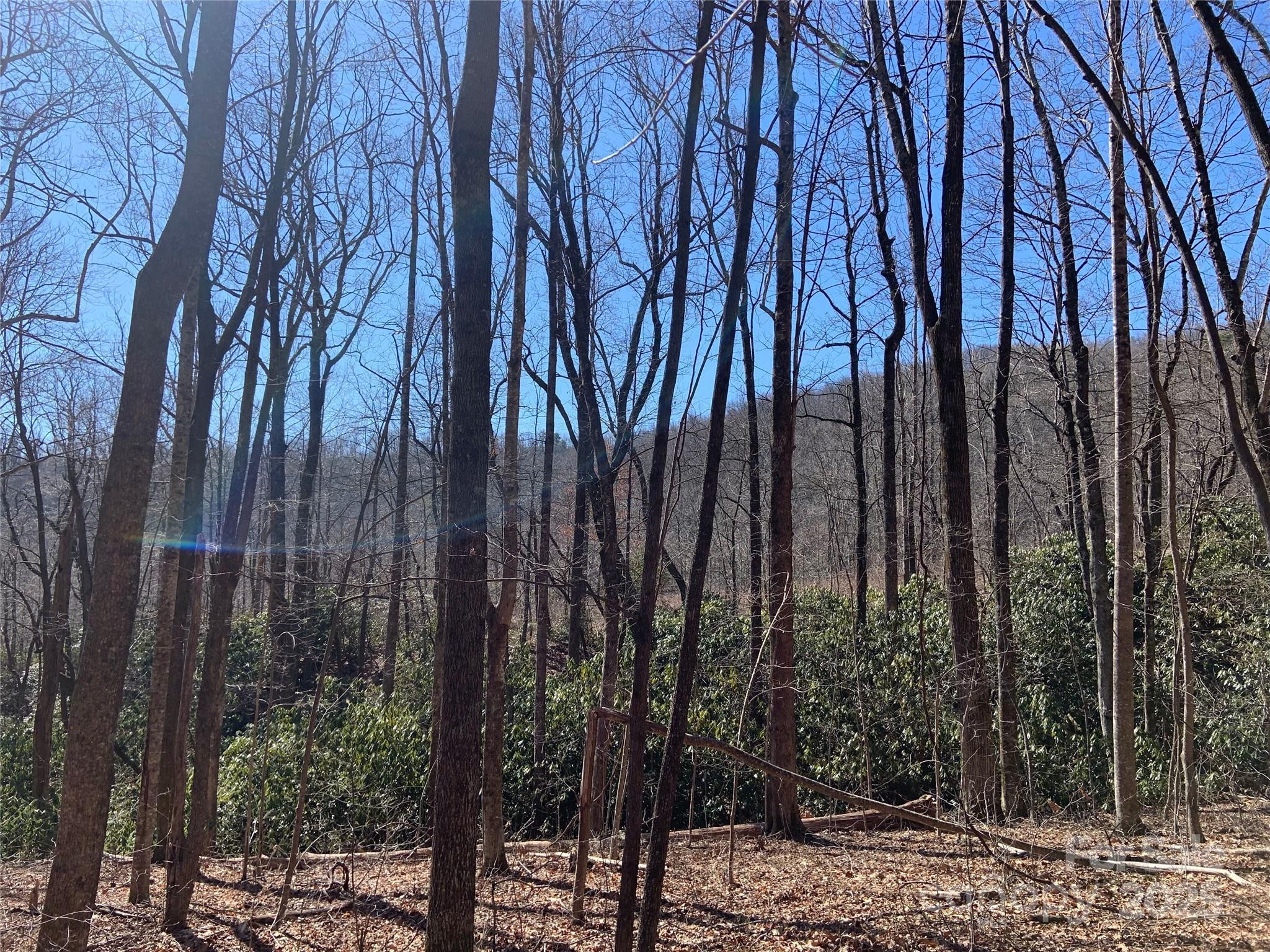 Tbd Glen Ridge Trail Lake Lure NC 28746