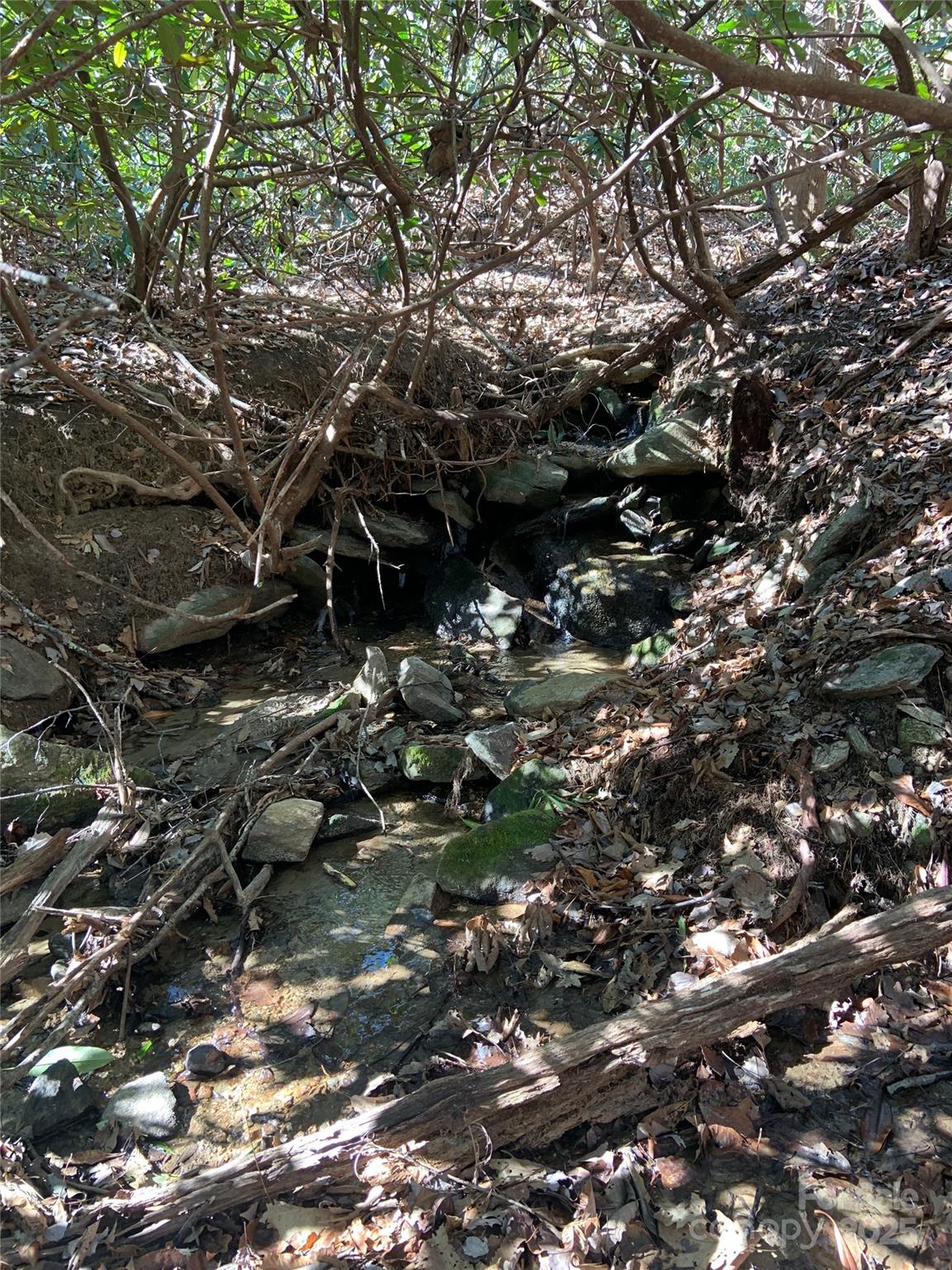 Tbd Glen Ridge Trail Lake Lure NC 28746