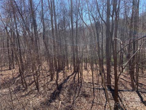 Tbd Glen Ridge Trail Lake Lure NC 28746