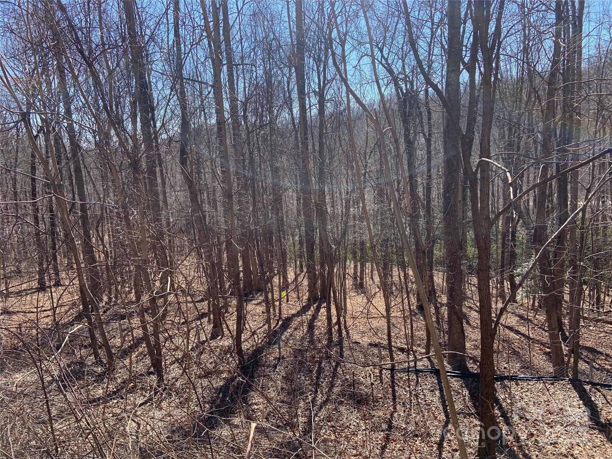 Tbd Glen Ridge Trail Lake Lure NC 28746