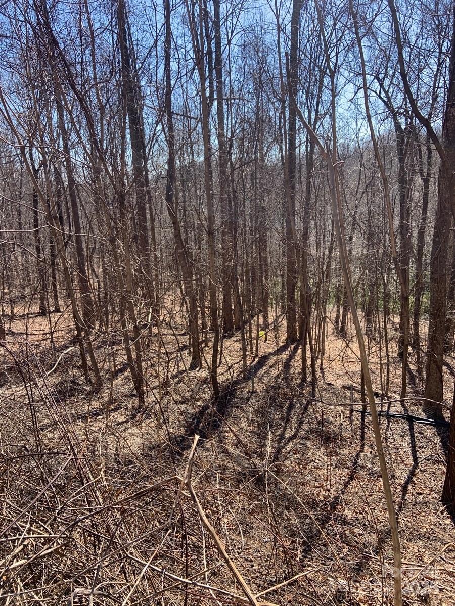 Tbd Glen Ridge Trail Lake Lure NC 28746