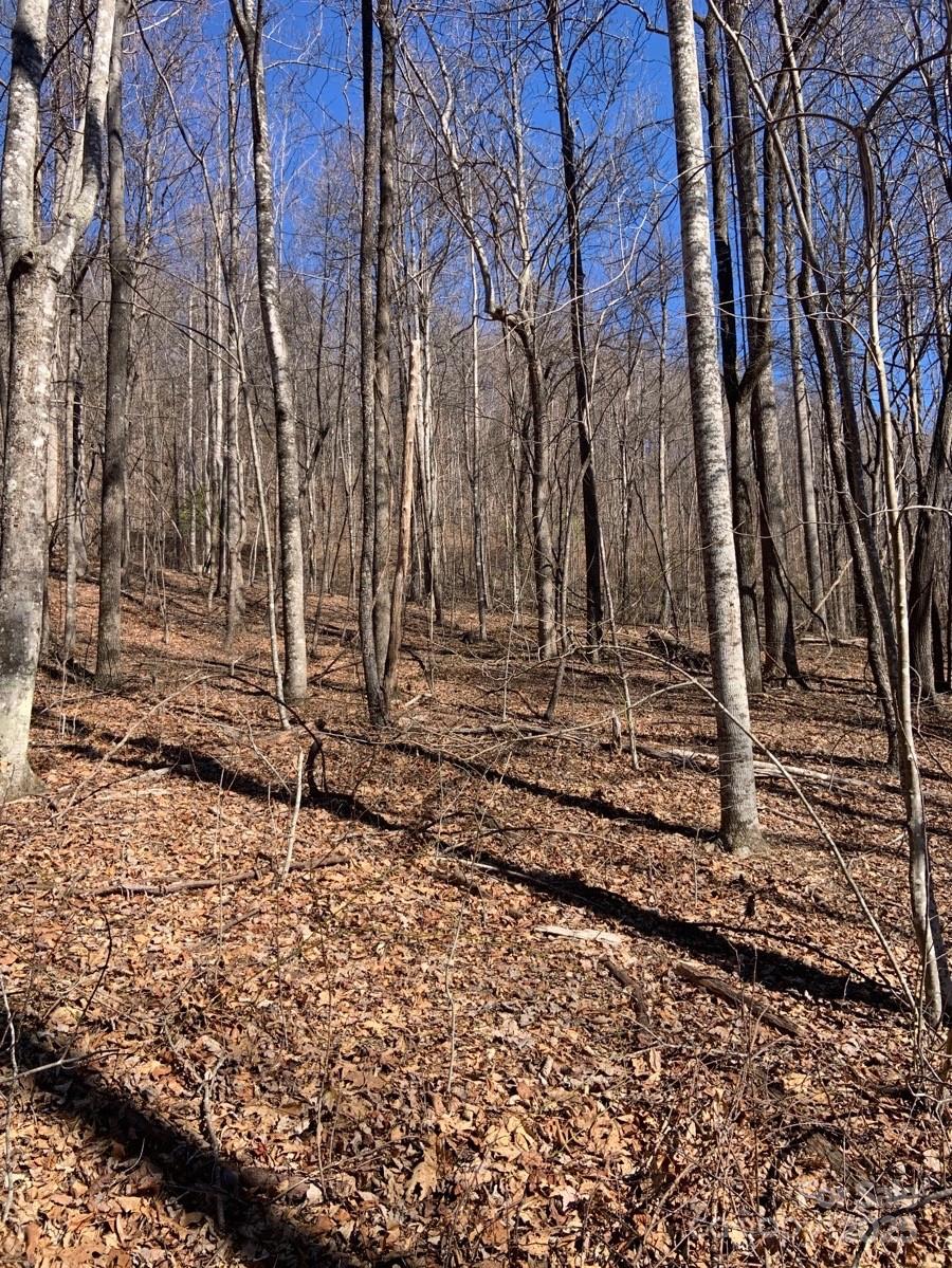 Tbd Glen Ridge Trail Lake Lure NC 28746