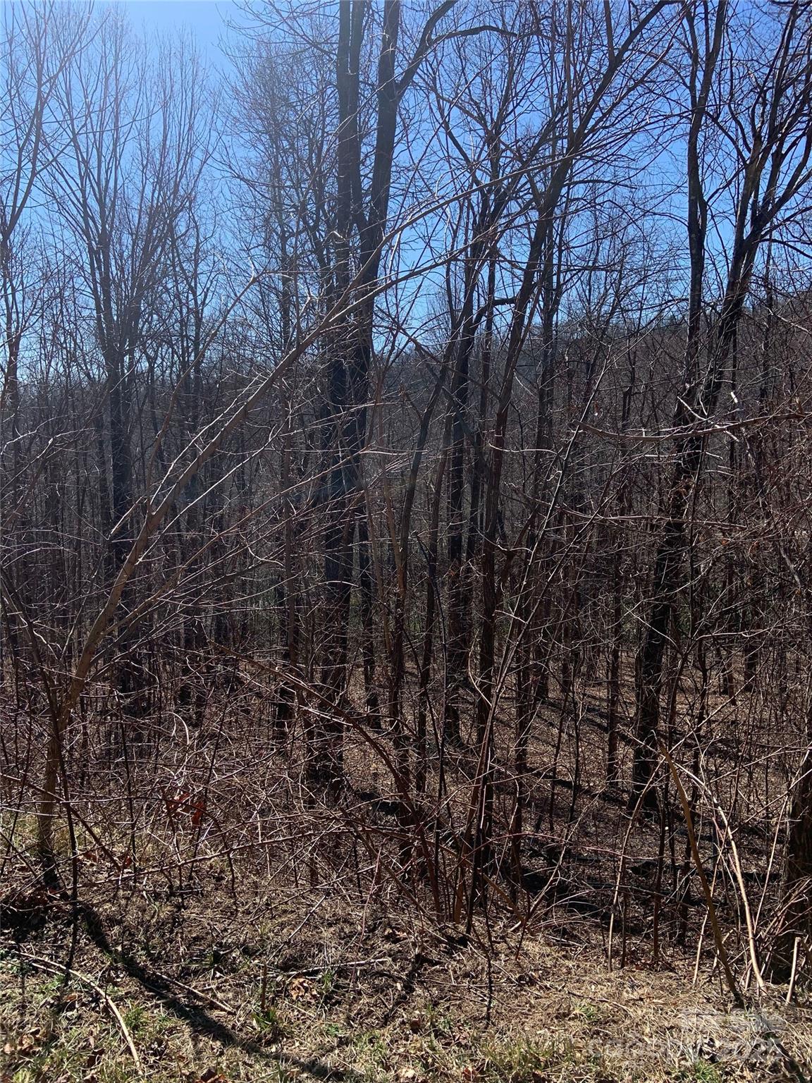 Tbd Glen Ridge Trail Lake Lure NC 28746