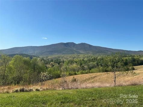Vacant Lot 15 Lake Crest Drive Nebo NC 28761