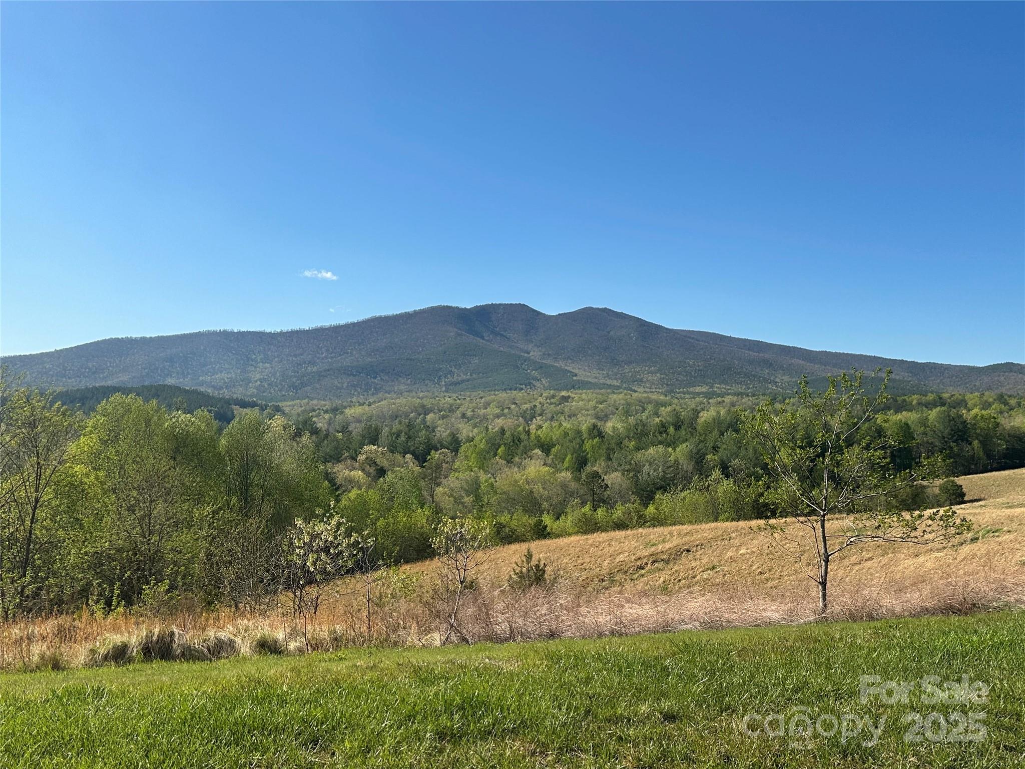 Vacant Lot 15 Lake Crest Drive Nebo NC 28761