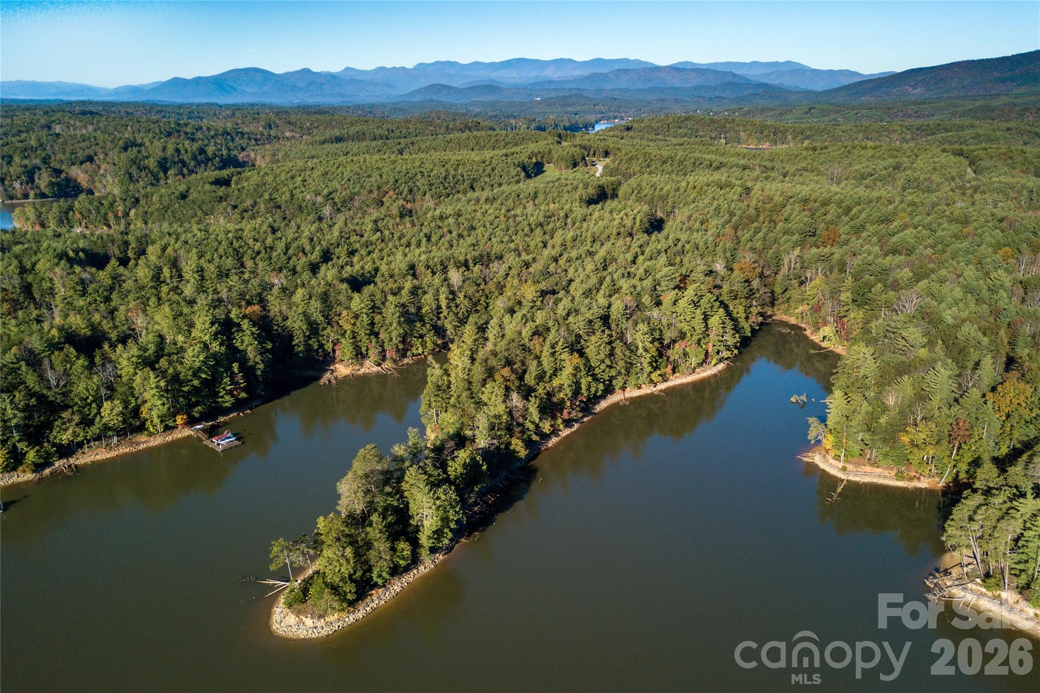 179 Turtle Head Drive Nebo NC 28761