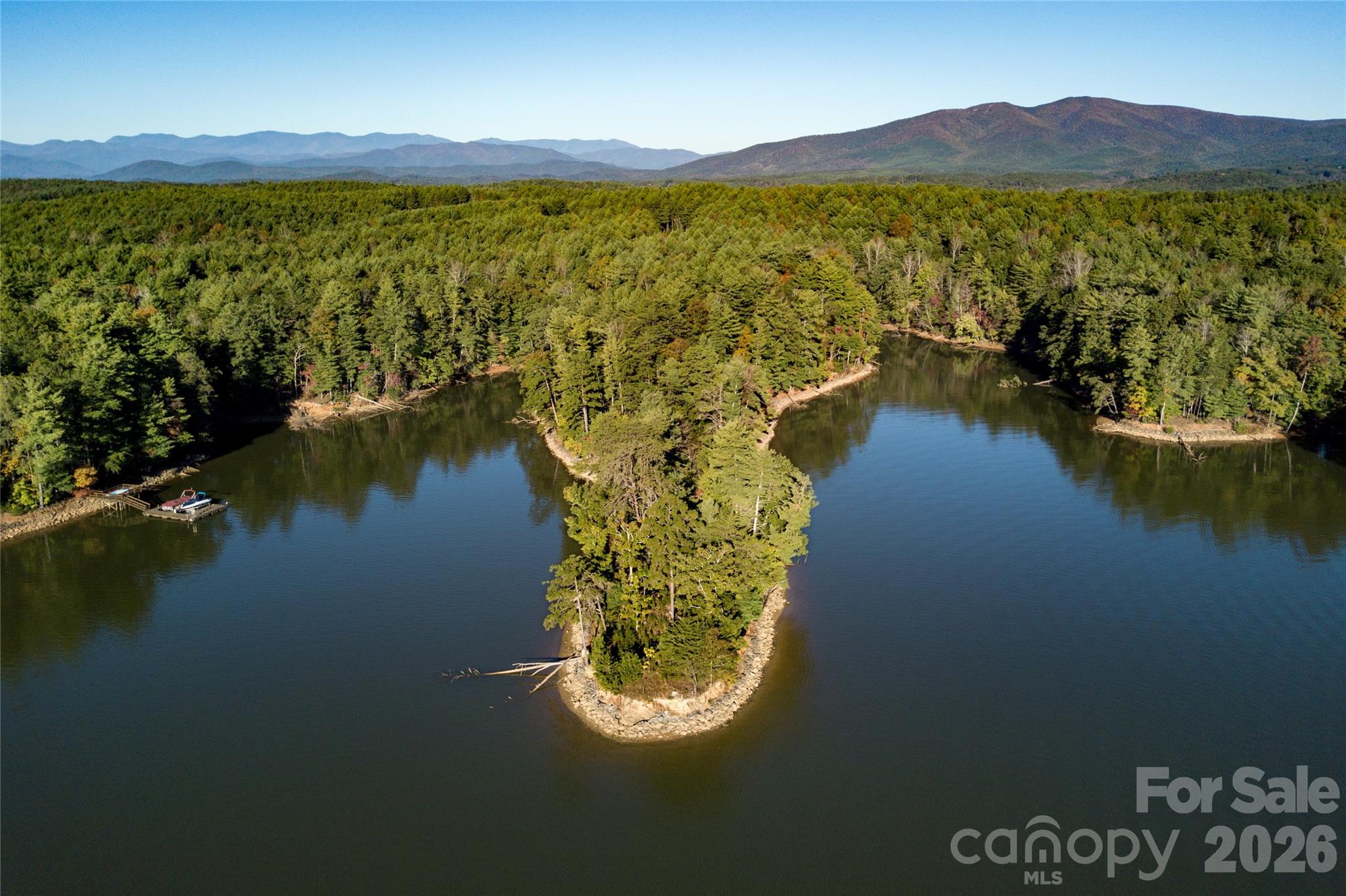 179 Turtle Head Drive Nebo NC 28761