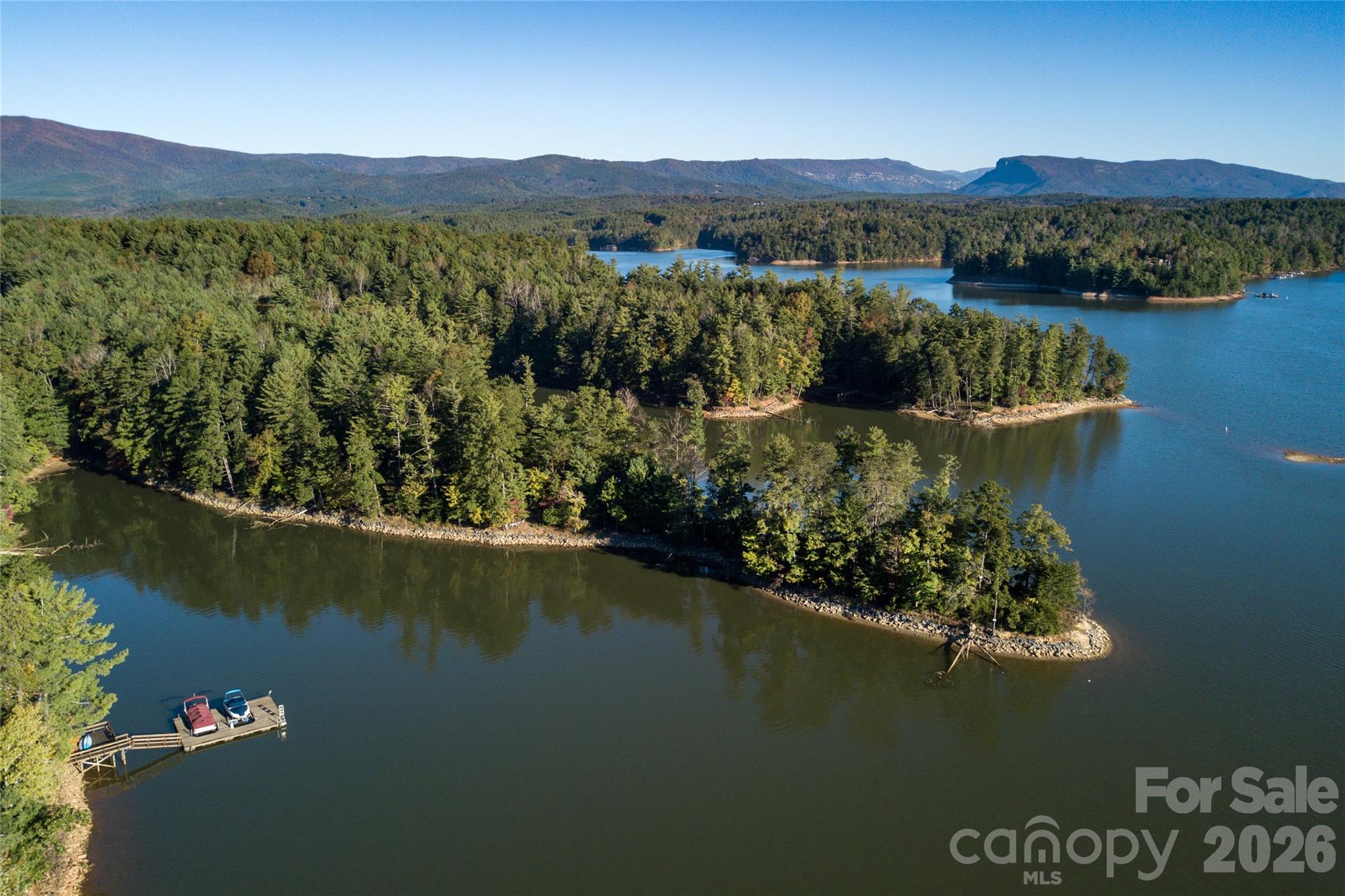 179 Turtle Head Drive Nebo NC 28761