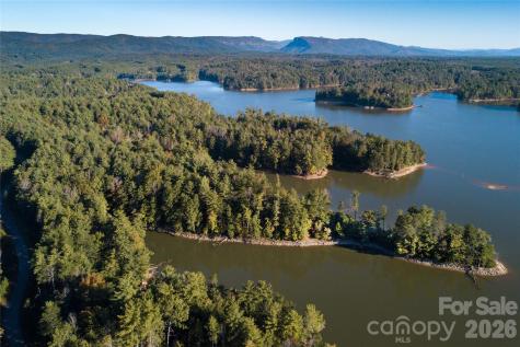 179 Turtle Head Drive Nebo NC 28761