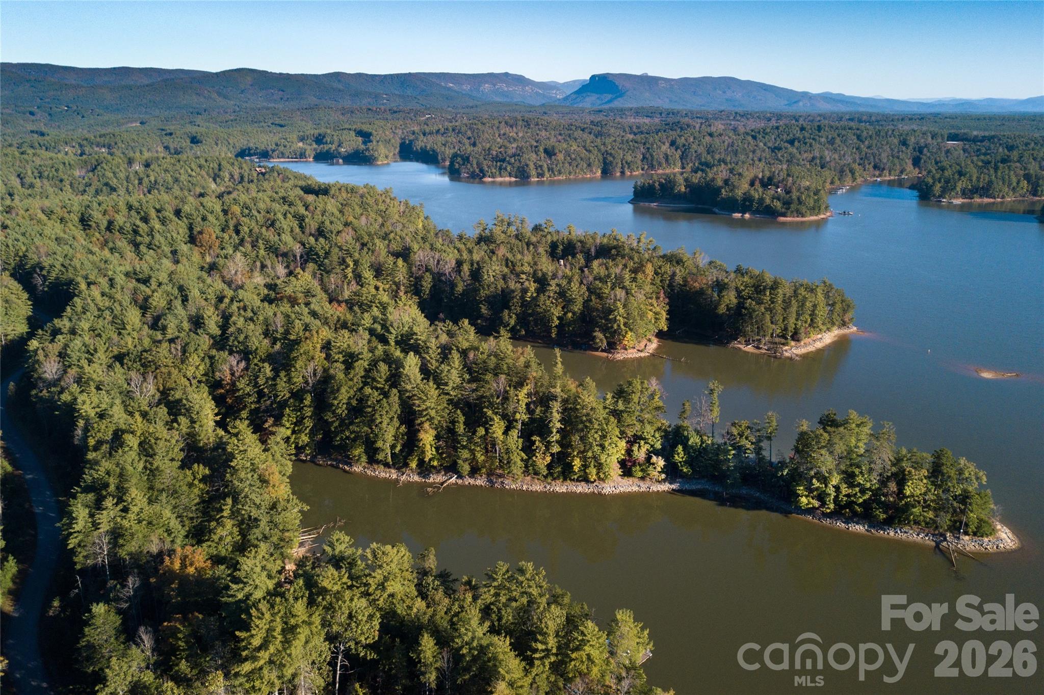 179 Turtle Head Drive Nebo NC 28761
