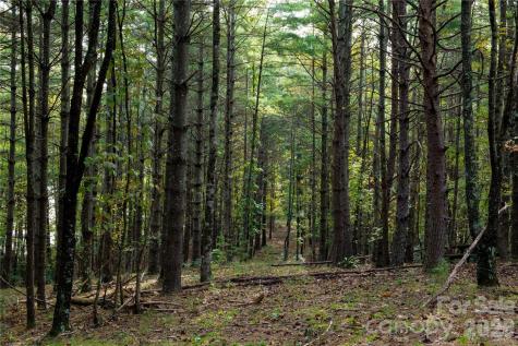 179 Turtle Head Drive Nebo NC 28761