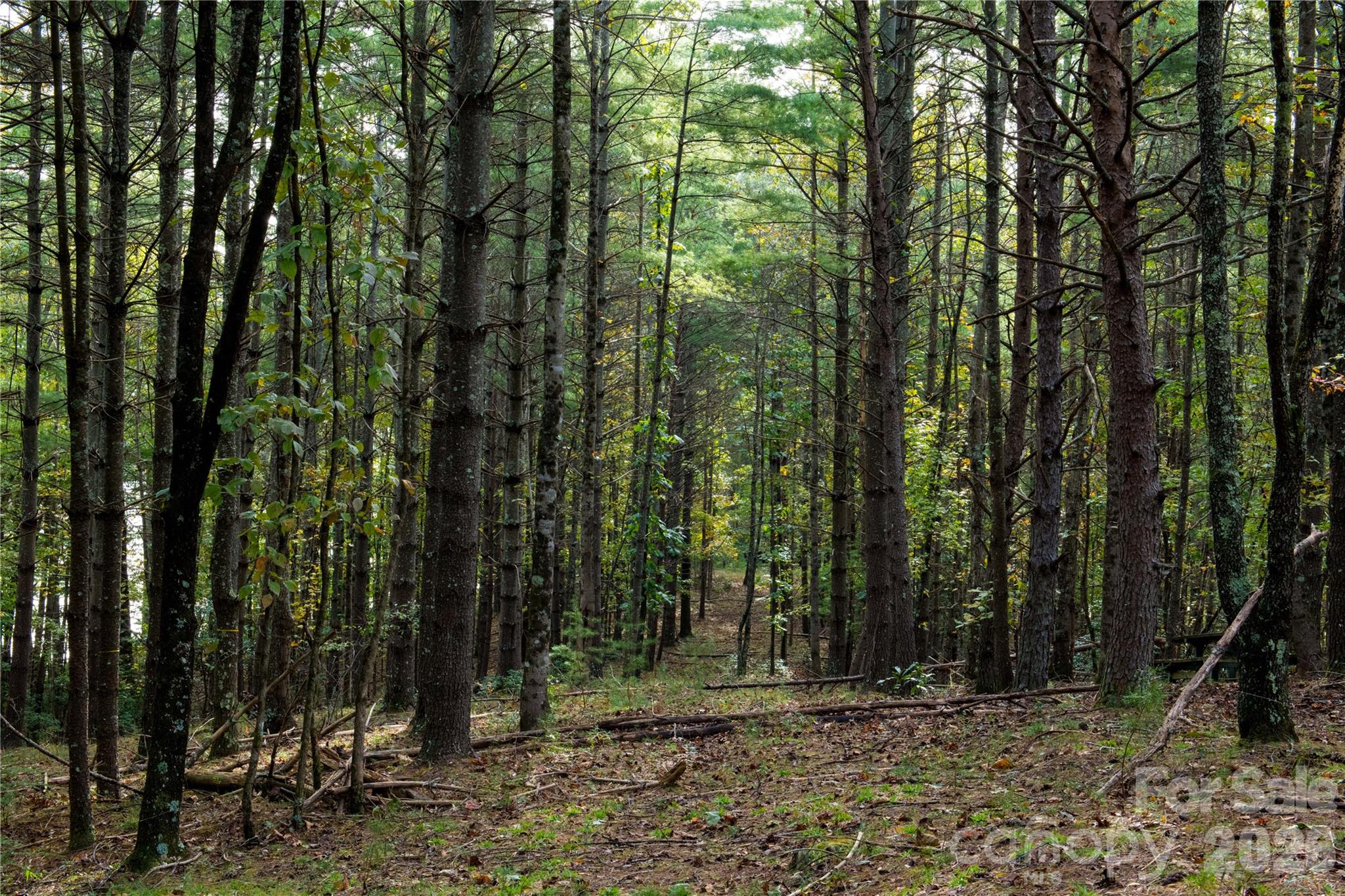 179 Turtle Head Drive Nebo NC 28761