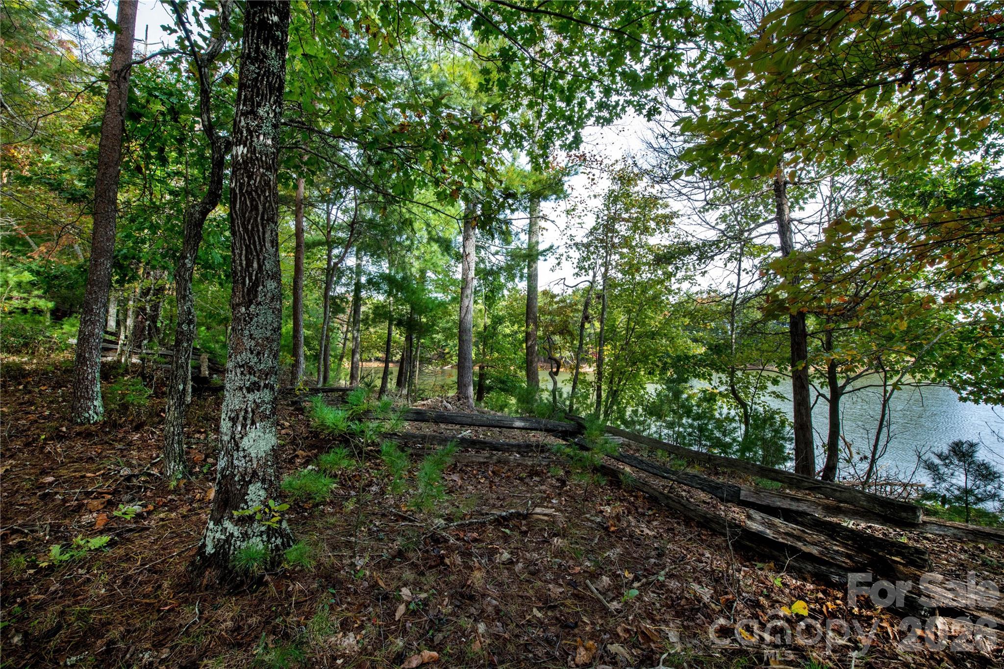 179 Turtle Head Drive Nebo NC 28761