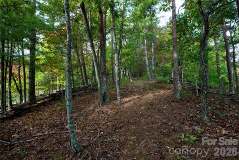 179 Turtle Head Drive Nebo NC 28761