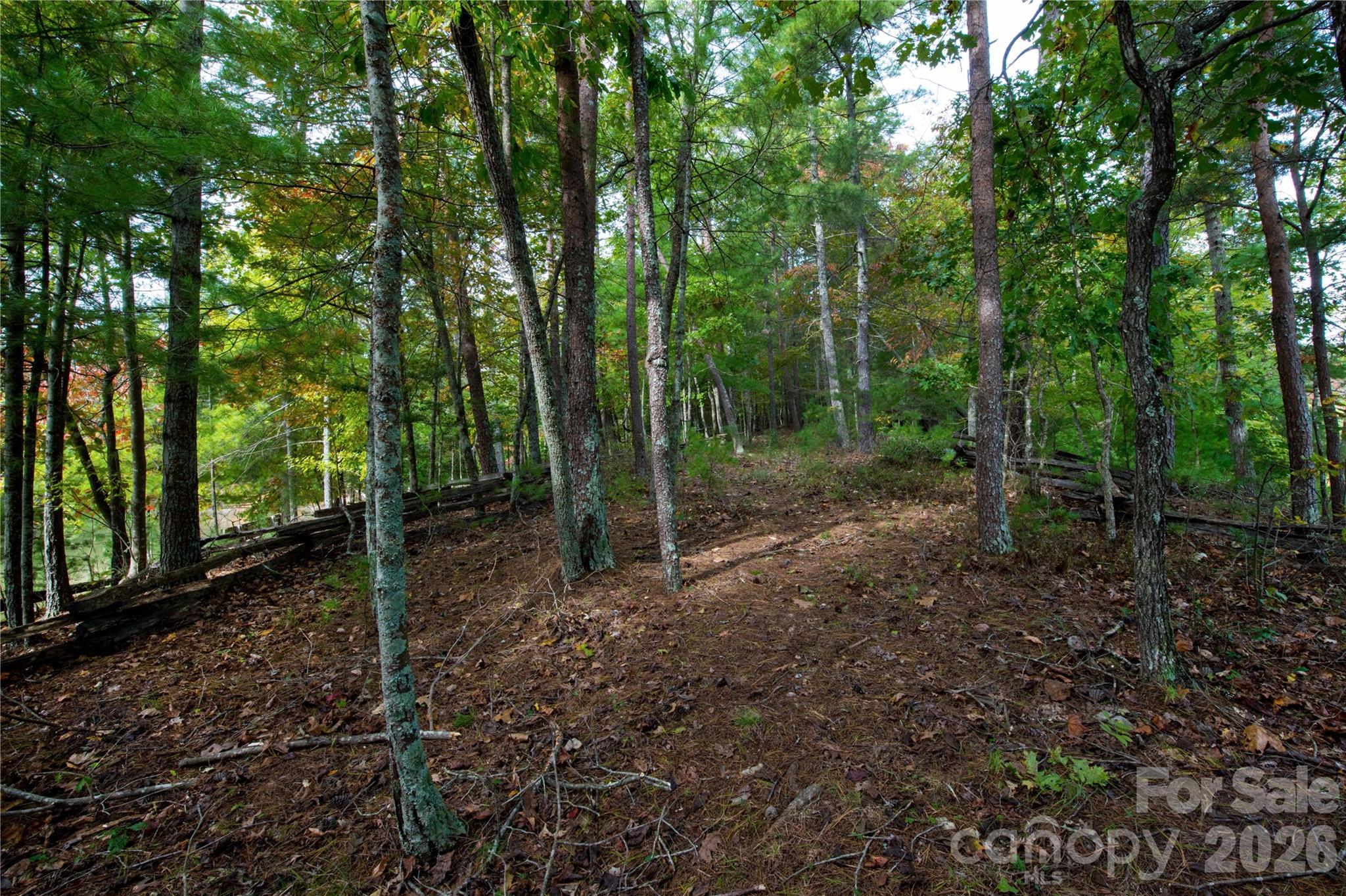 179 Turtle Head Drive Nebo NC 28761