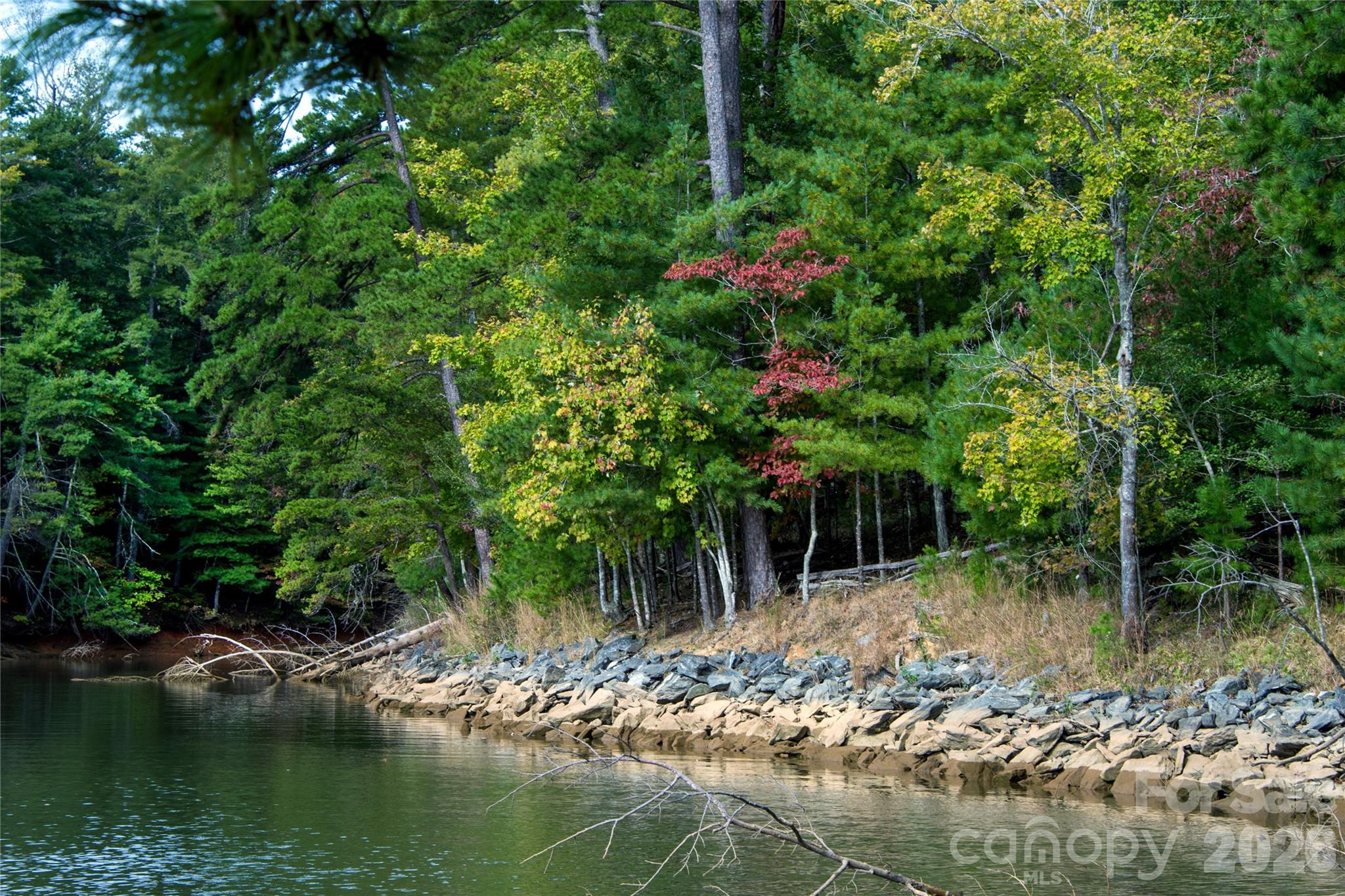 179 Turtle Head Drive Nebo NC 28761