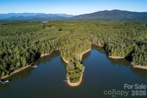 179 Turtle Head Drive Nebo NC 28761