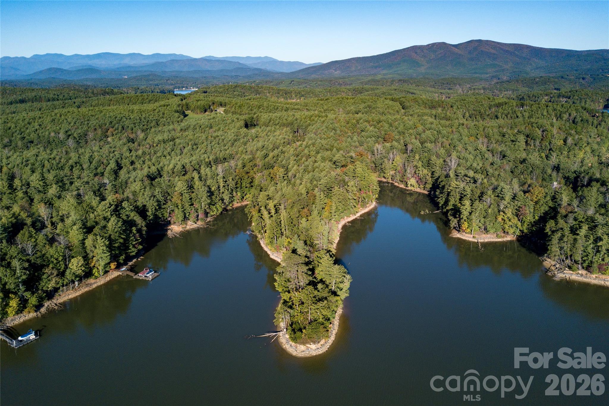 179 Turtle Head Drive Nebo NC 28761