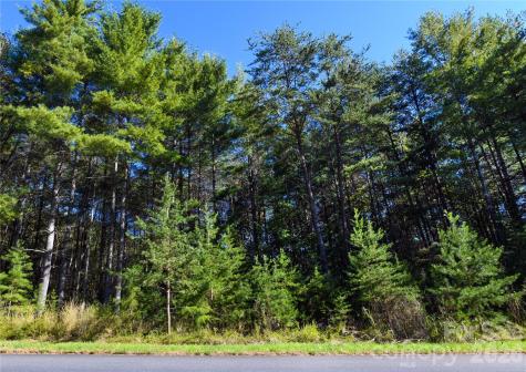 179 Turtle Head Drive Nebo NC 28761