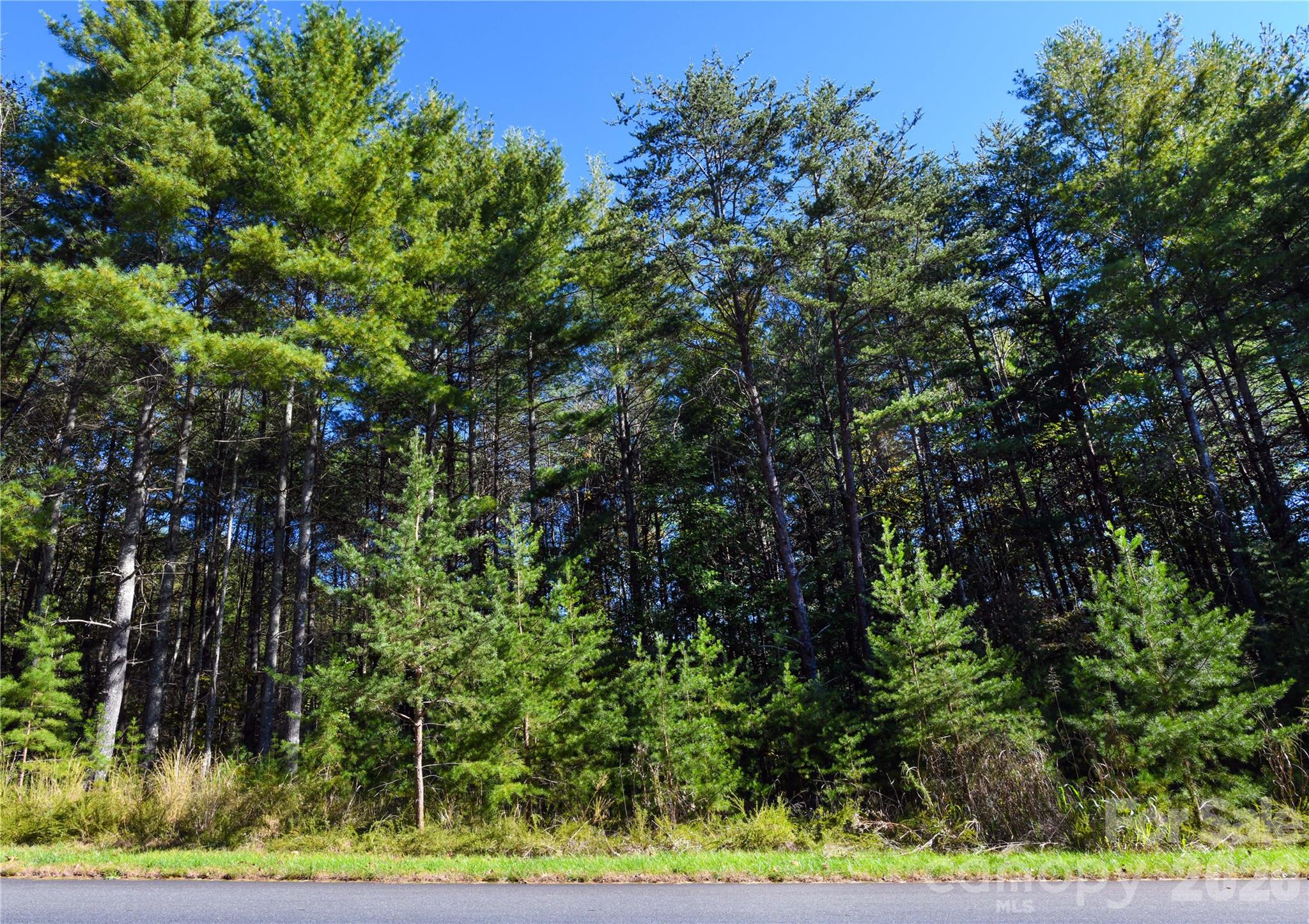 179 Turtle Head Drive Nebo NC 28761