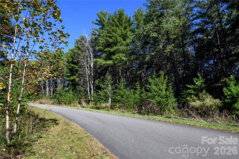 179 Turtle Head Drive Nebo NC 28761