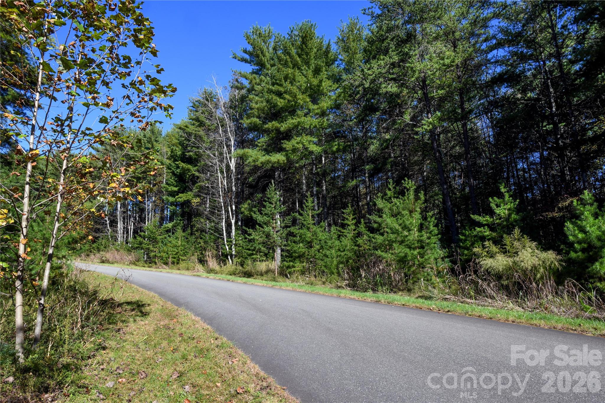 179 Turtle Head Drive Nebo NC 28761