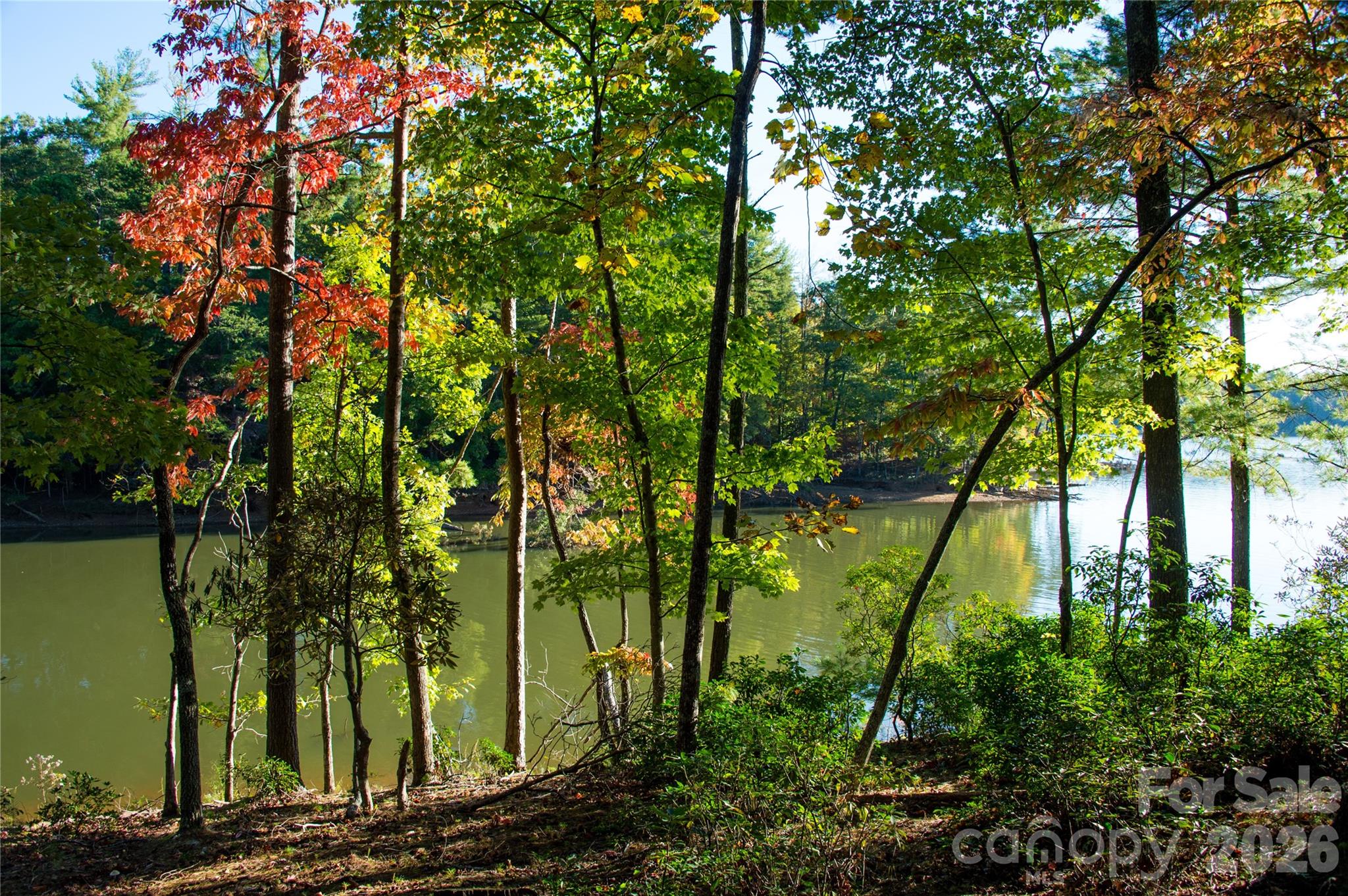 179 Turtle Head Drive Nebo NC 28761