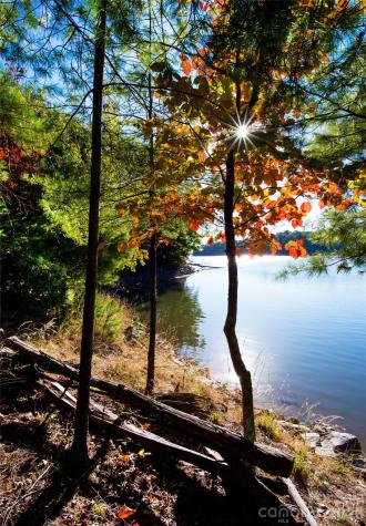179 Turtle Head Drive Nebo NC 28761