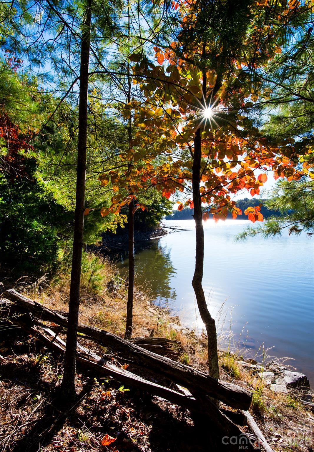179 Turtle Head Drive Nebo NC 28761