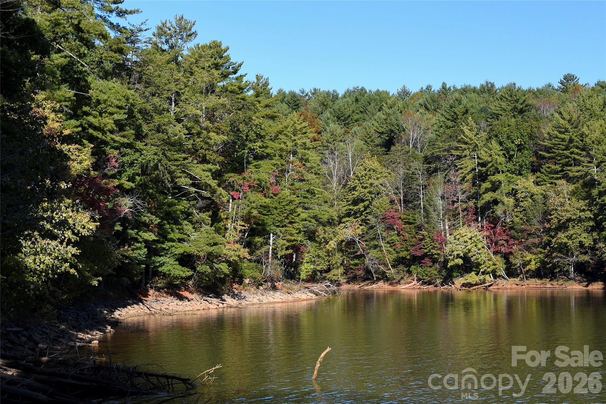 179 Turtle Head Drive Nebo NC 28761