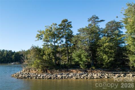 179 Turtle Head Drive Nebo NC 28761