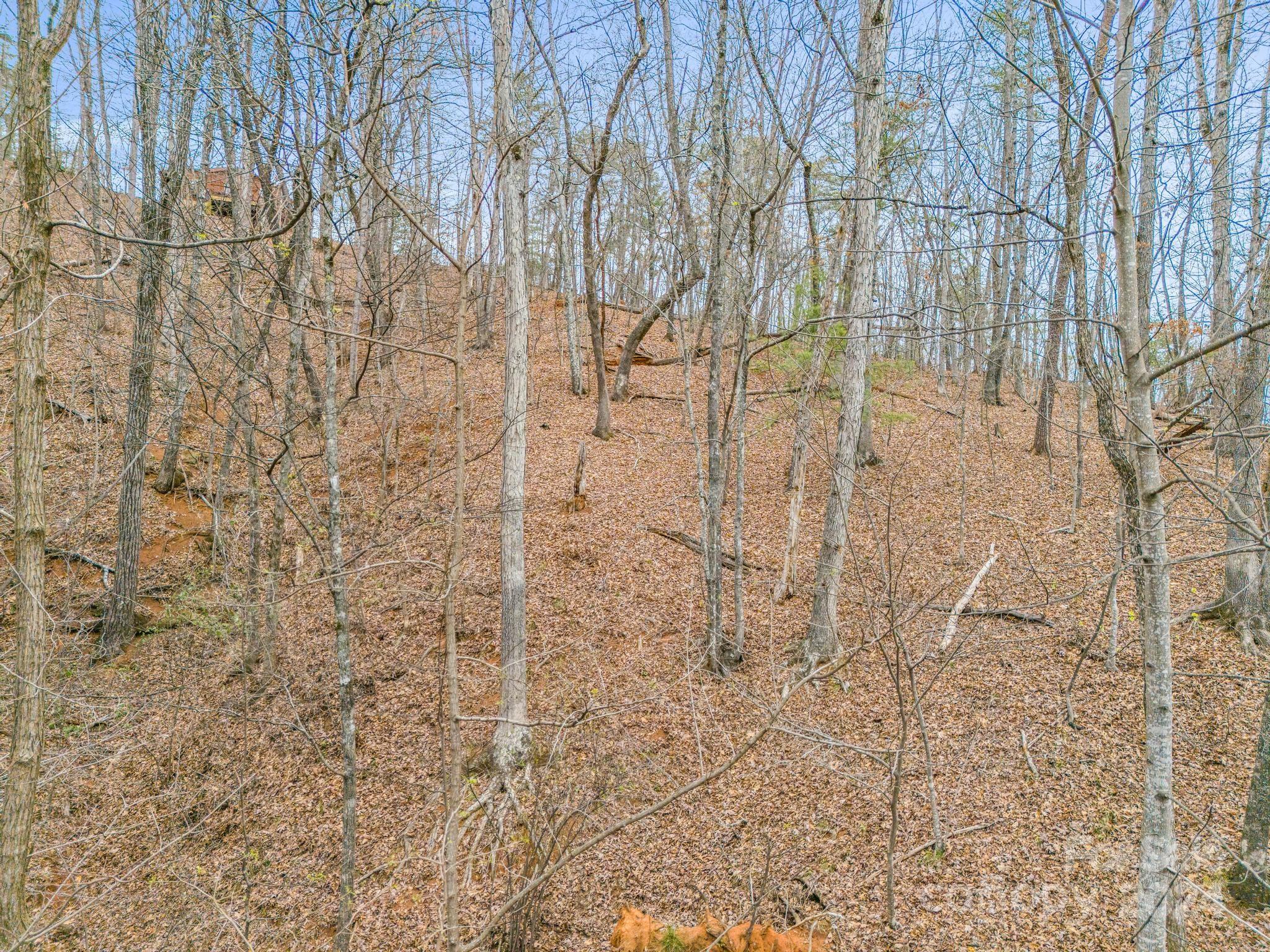 0 Holmes Road Lake Lure NC 28746