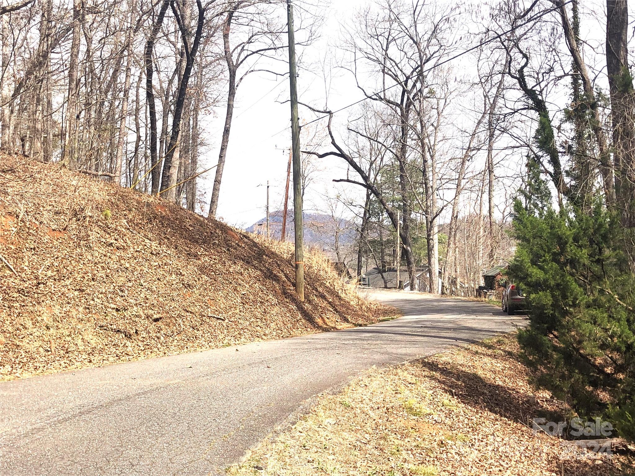 0 Holmes Road Lake Lure NC 28746
