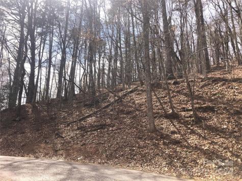 0 Holmes Road Lake Lure NC 28746