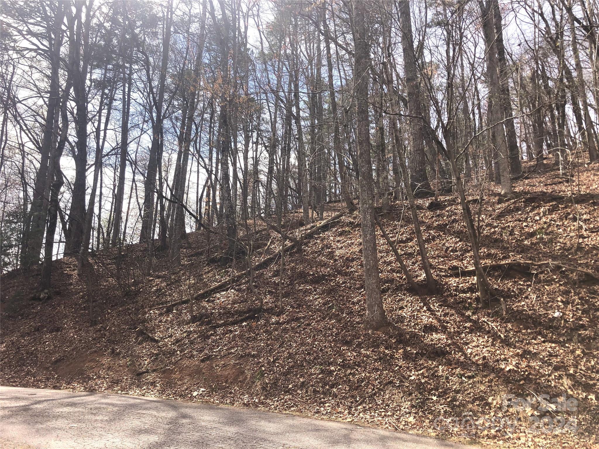 0 Holmes Road Lake Lure NC 28746