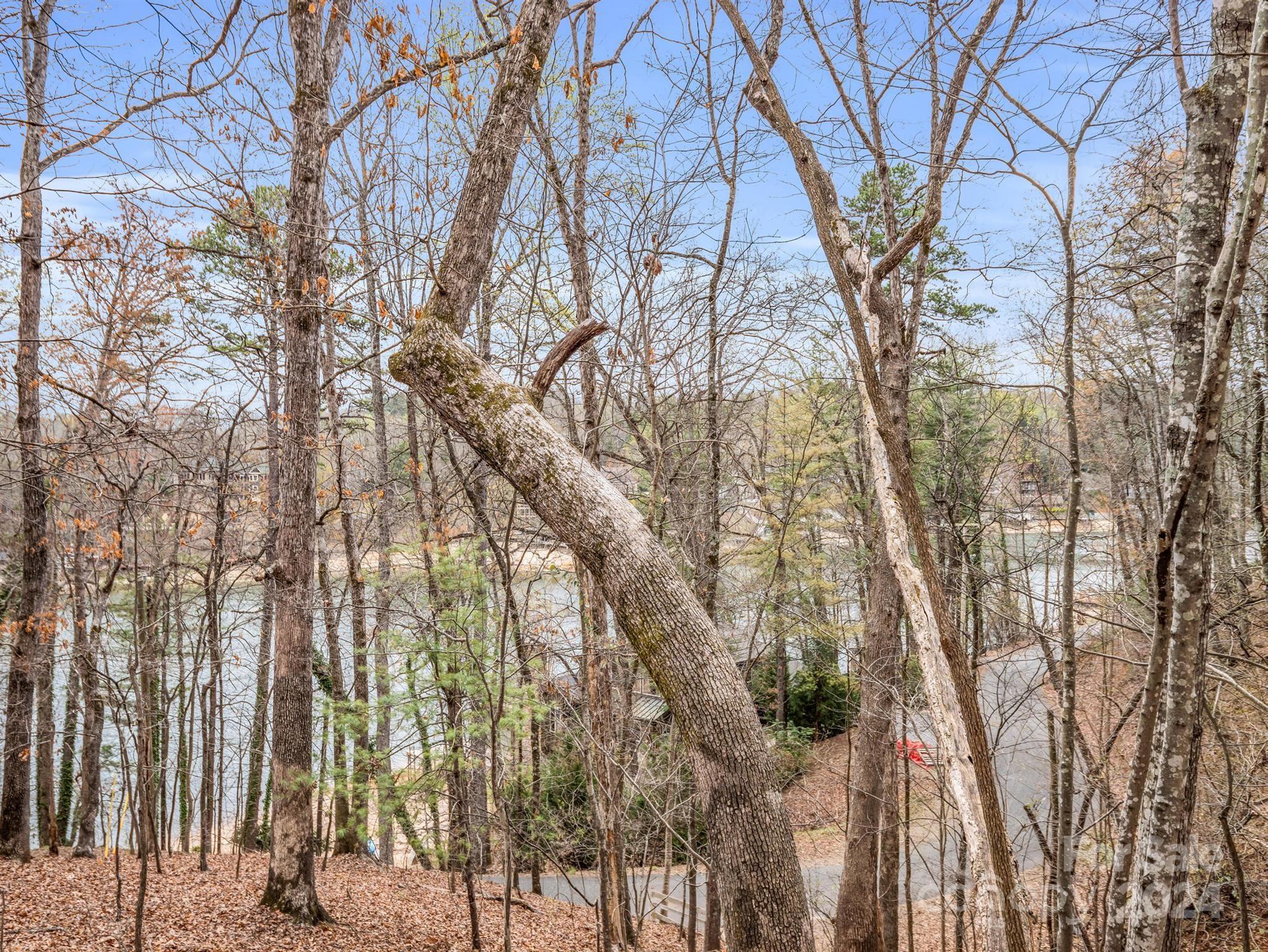 0 Holmes Road Lake Lure NC 28746
