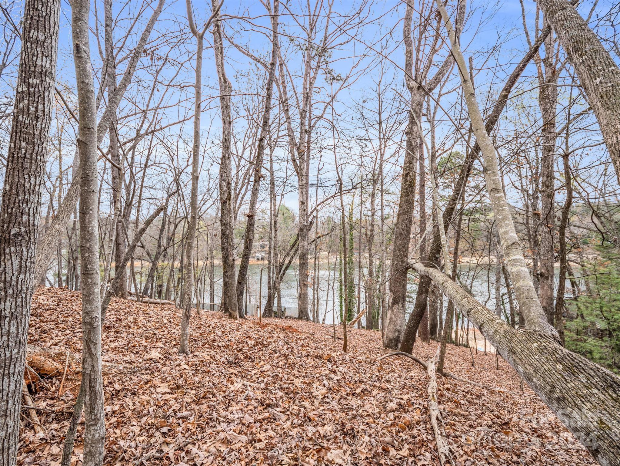 0 Holmes Road Lake Lure NC 28746