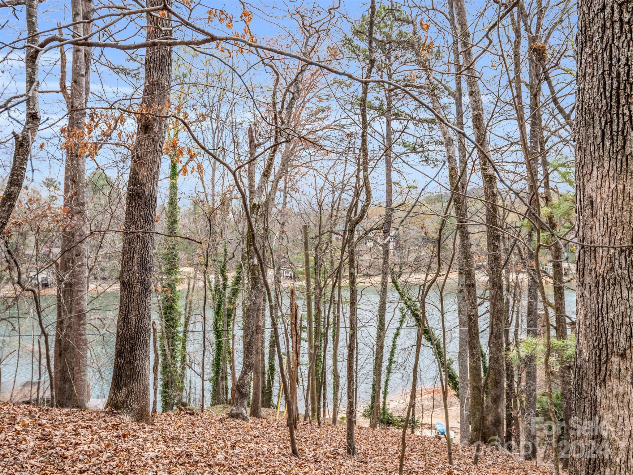 0 Holmes Road Lake Lure NC 28746
