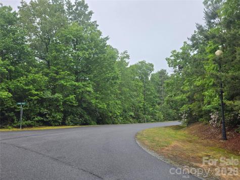 101 Hawks Crest Brevard NC 28712