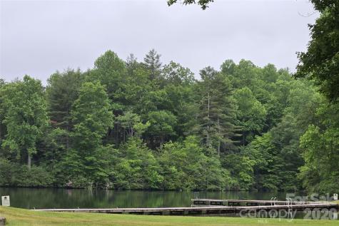 101 Hawks Crest Brevard NC 28712
