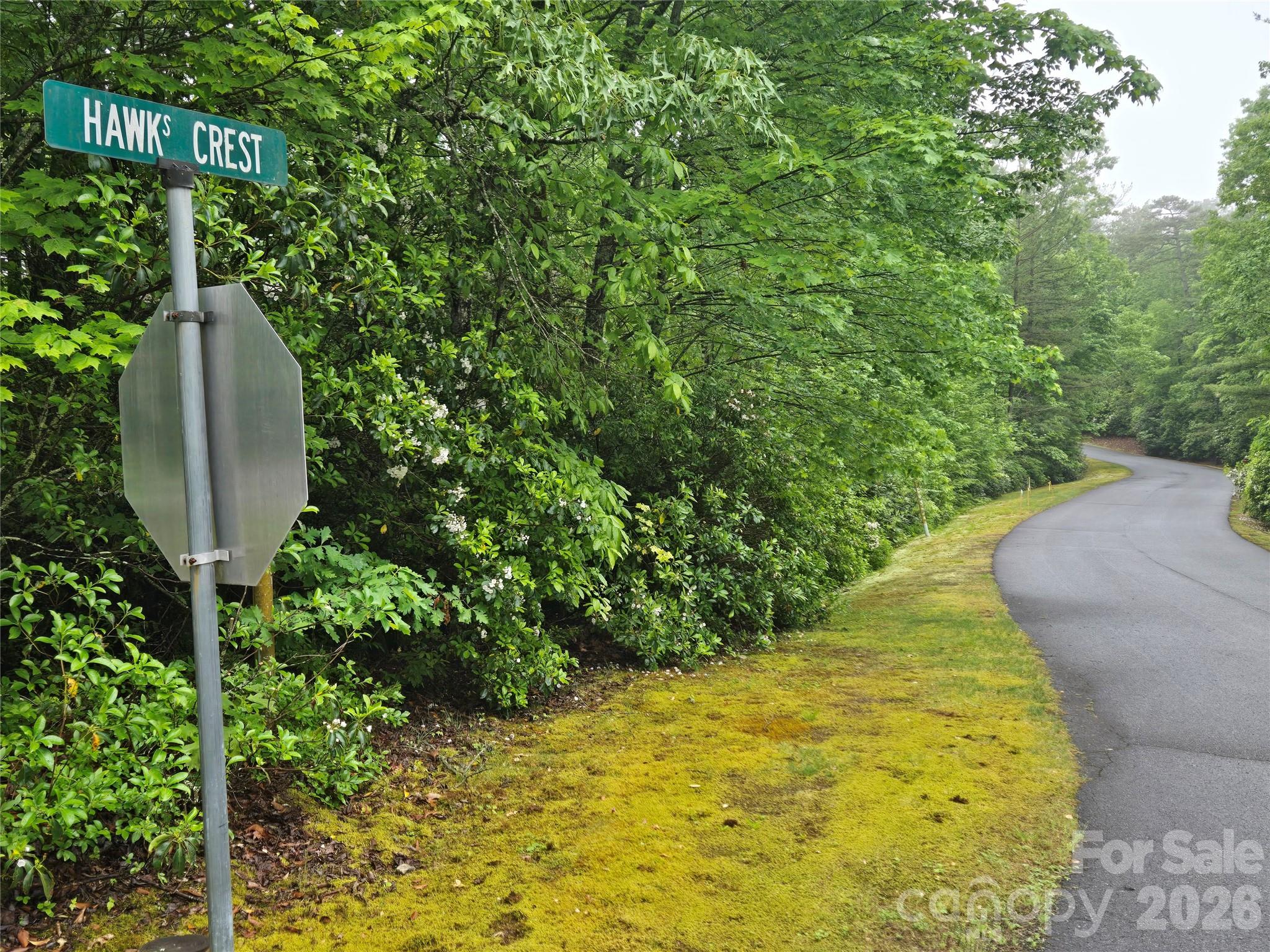 101 Hawks Crest Brevard NC 28712
