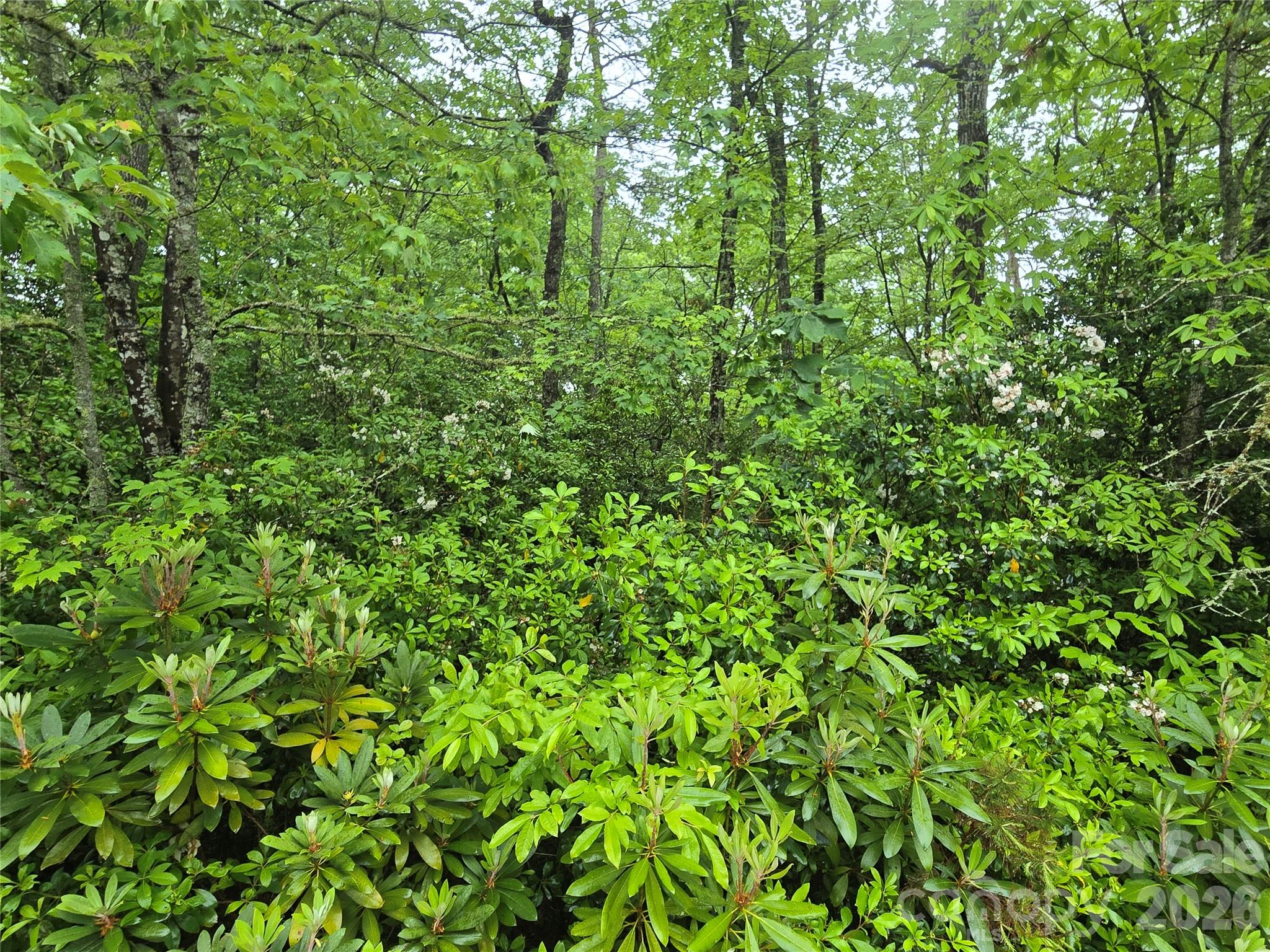 101 Hawks Crest Brevard NC 28712