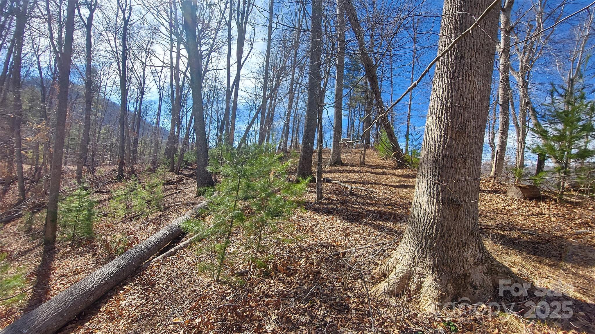 103 Barn Road Burnsville NC 28714