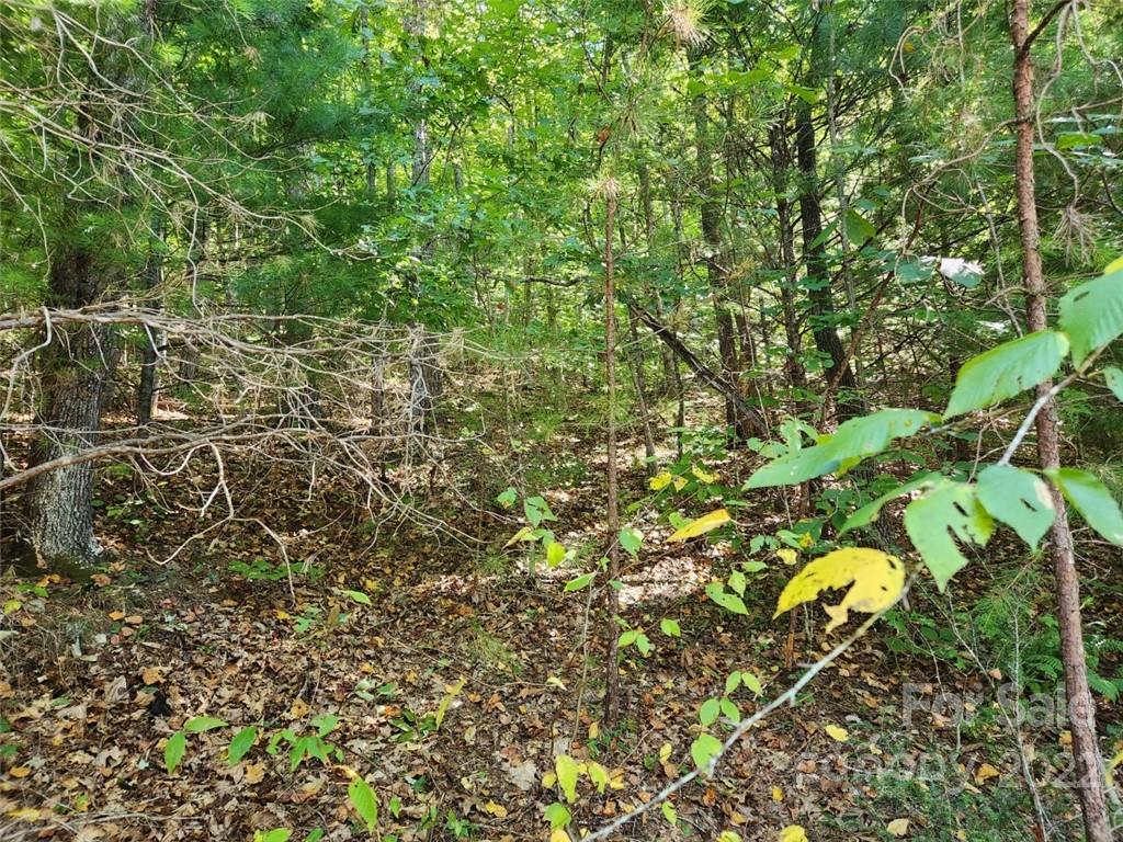 23 Overlook Park Drive Hendersonville NC 28792