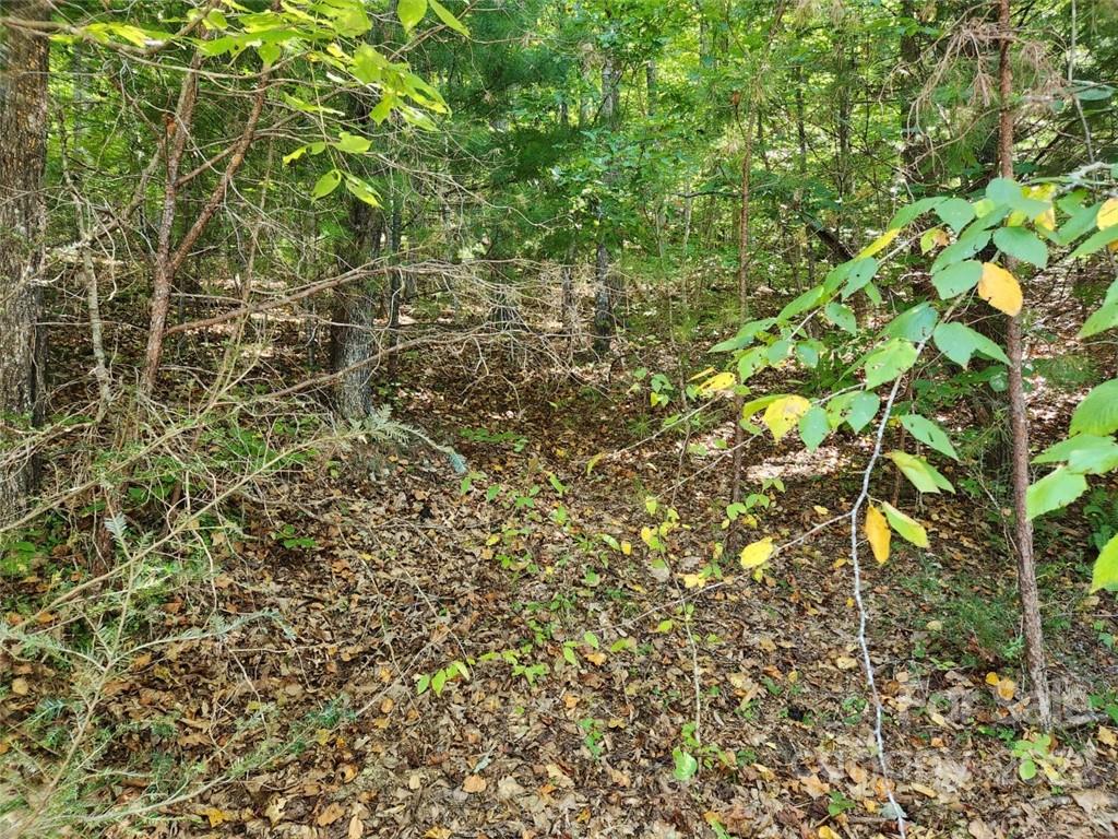 23 Overlook Park Drive Hendersonville NC 28792