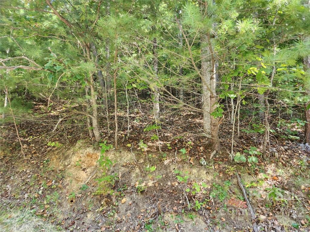 23 Overlook Park Drive Hendersonville NC 28792